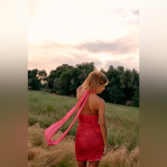 ZARA ~ Zara printed tulle dress - Picture 9 of 12